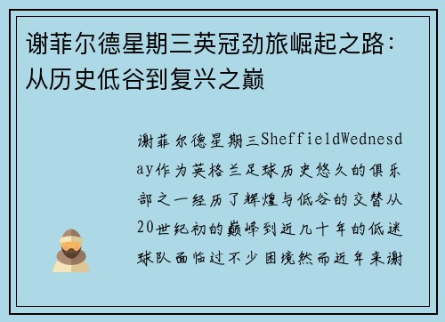 谢菲尔德星期三英冠劲旅崛起之路:从历史低谷到复兴之巅 谢菲尔德星期三英冠劲旅崛起之路:从历史低谷到复兴之巅