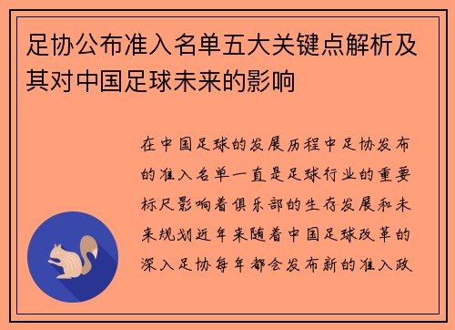足协公布准入名单五大关键点解析及其对中国足球未来的影响