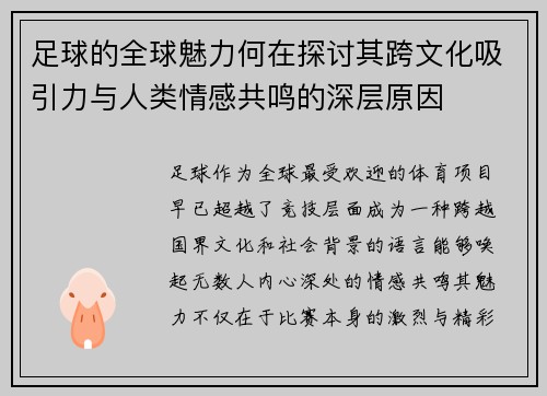 足球的全球魅力何在探讨其跨文化吸引力与人类情感共鸣的深层原因